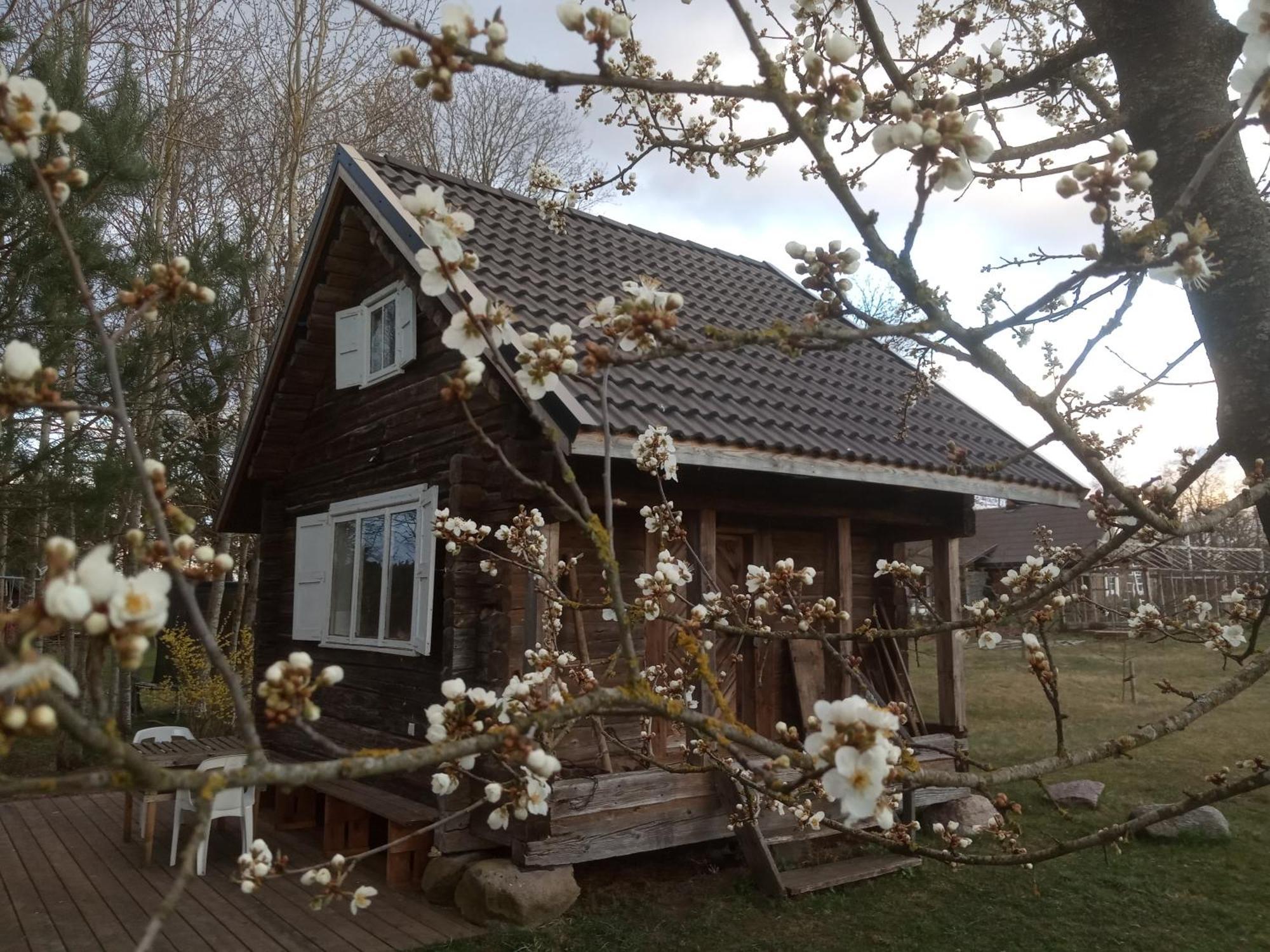 Senosios Geguzines Ukis Guest House Eksteriør bilde
